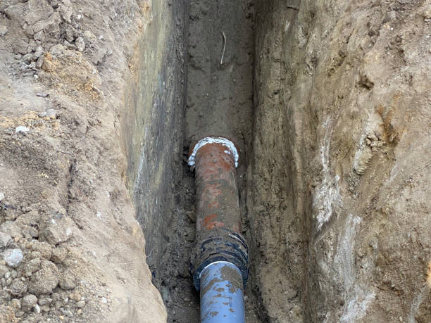 Best Basement water damage restoration  in Mulberry, OH