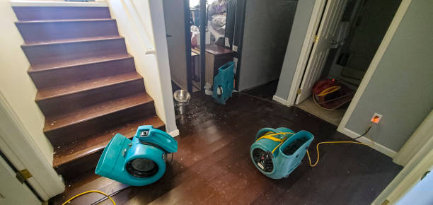 Best Carpet water damage restoration  in Mulberry, OH