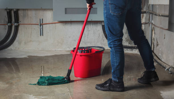 Best 24/7 water damage repair  in Mulberry, OH