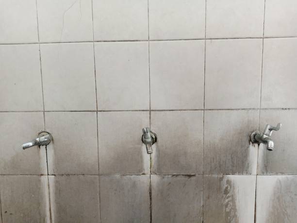 Best Flooded house restoration  in Mulberry, OH