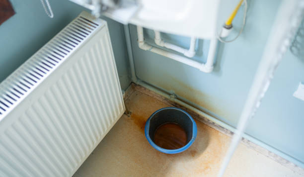 Best Flood damage cleanup  in Mulberry, OH