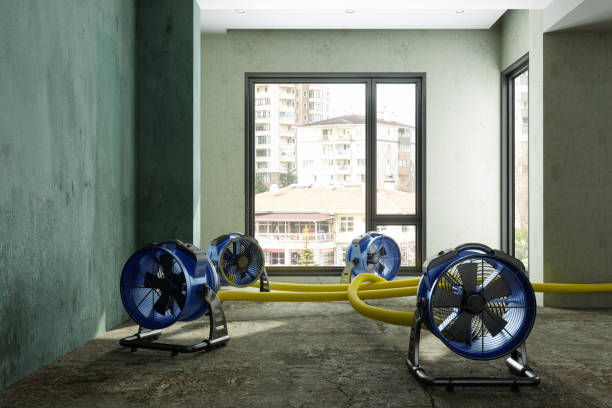 Best Water damage restoration insurance claims  in Mulberry, OH